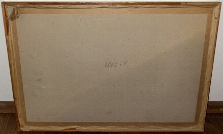 MĚSTSKÉ PANORAMA - KRAUS VILÉM