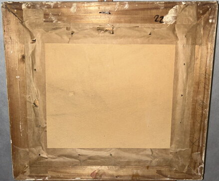 CHATA V LESE - JIROUŠ