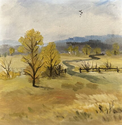 CESTA DO LESA - NEZNÁMÝ AUTOR