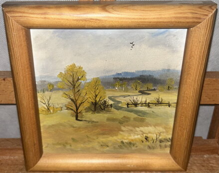 CESTA DO LESA - NEZNÁMÝ AUTOR