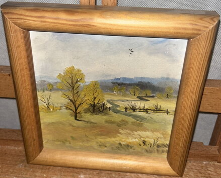 CESTA DO LESA - NEZNÁMÝ AUTOR