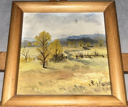 CESTA DO LESA - NEZNÁMÝ AUTOR