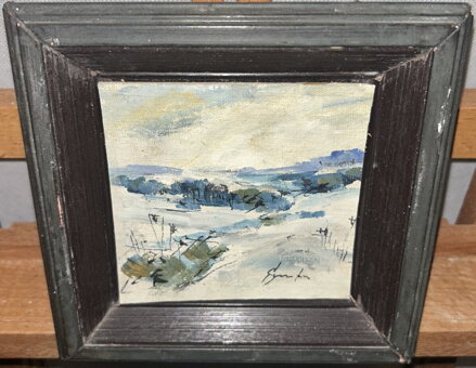 ZIMA NA VYSOČINĚ - ŠTURC JAN