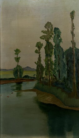 MEANDRUJÍCÍ ŘEKA V KRAJINĚ - NEZNÁMÝ AUTOR