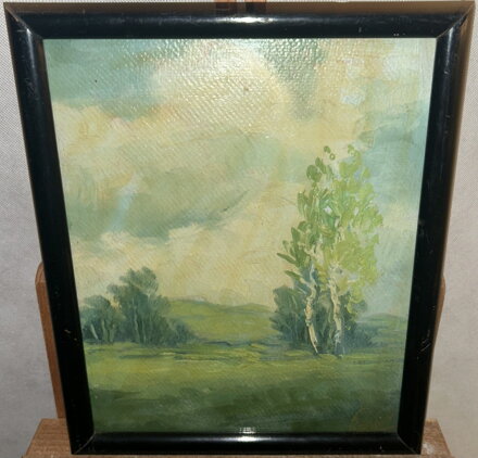 BŘÍZY NA LOUCE - HÁJEK FRANTA 