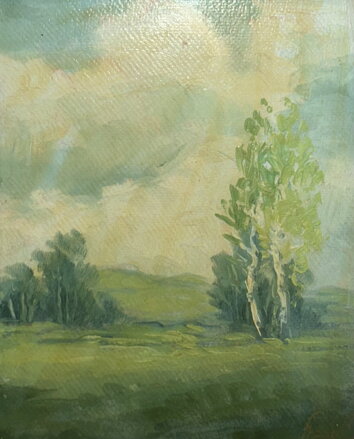 BŘÍZY NA LOUCE - HÁJEK FRANTA 