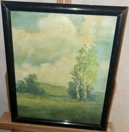 BŘÍZY NA LOUCE - HÁJEK FRANTA 