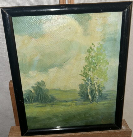 BŘÍZY NA LOUCE - HÁJEK FRANTA 