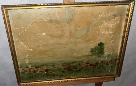 VLČÍ MÁKY NA LOUCE - HÁJEK