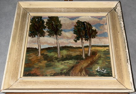 STROMY POD MRAKY - MAŘÍK