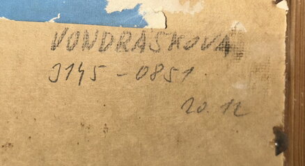 STROMY POD MRAKY - MAŘÍK