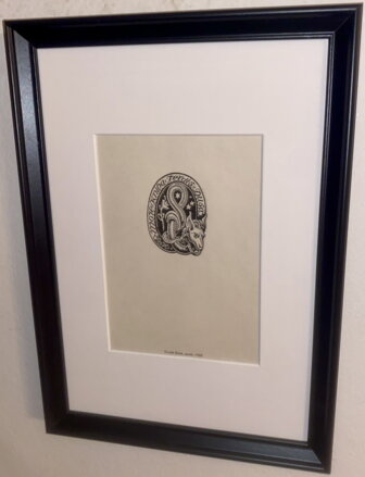 MOJE KNIHA - DUŠA FERDIŠ