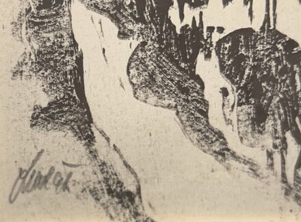 DOMY VE SVAHU - SIGNOVÁN