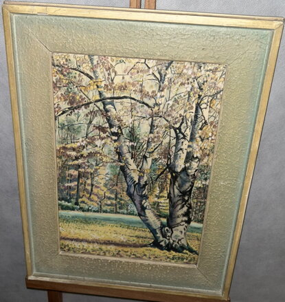 PODZIM V PARKU - ŠEDIVÝ KAREL