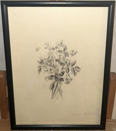 HOUSENKA NA LUČNÍM KVÍTÍ - KALVACH EMMA