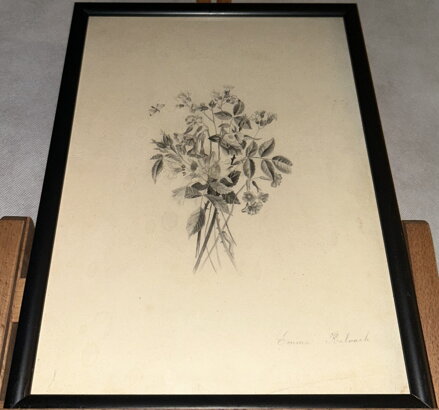 HOUSENKA NA LUČNÍM KVÍTÍ - KALVACH EMMA