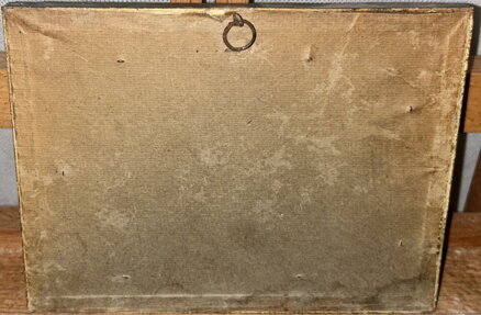 DVA KONĚ V POHYBU - BAJGAR JINDŘICH