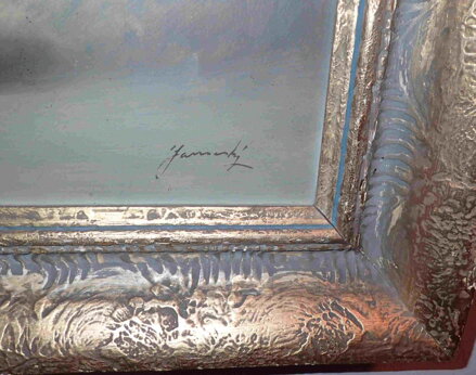 BAREVNÉ ŠEŘÍKY - JANOVSKÝ JAN KAREL