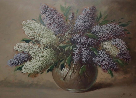BAREVNÉ ŠEŘÍKY - JANOVSKÝ JAN KAREL