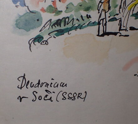 DENDRARIJ V SOČI - JIRKA OLDŘICH