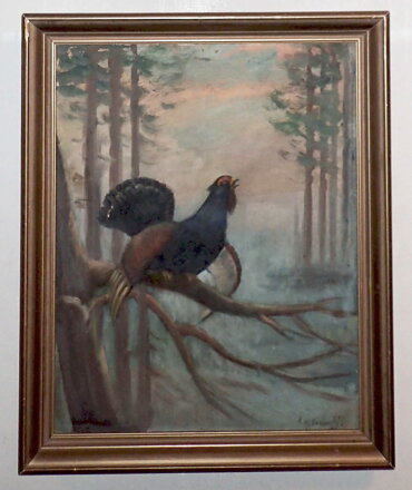 TOKAJÍCÍ TETŘEV - JIZERSKÝ KAREL WALTER