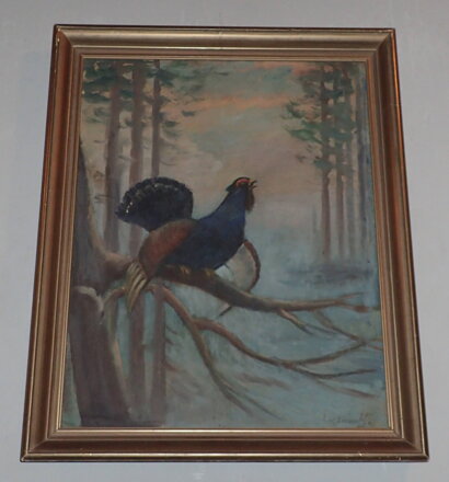 TOKAJÍCÍ TETŘEV - JIZERSKÝ KAREL WALTER