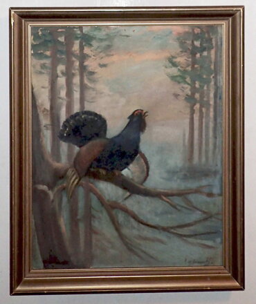 TOKAJÍCÍ TETŘEV - JIZERSKÝ KAREL WALTER