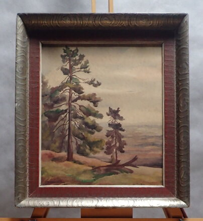 JANSKÉ LÁZNĚ ČERNÁ HORA - KAPOUN KAREL