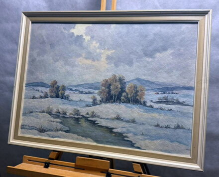 BŘÍZY V ZIMĚ - KINDL KAREL