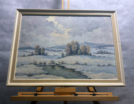 BŘÍZY V ZIMĚ - KINDL KAREL