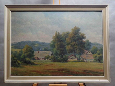 LÉTO NA VSI - KINDL KAREL