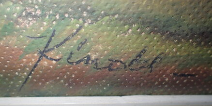 LÉTO NA VSI - KINDL KAREL