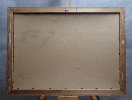 LÉTO NA VSI - KINDL KAREL