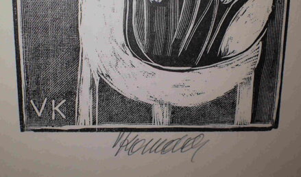 HOUSLE - KOMÁREK VLADIMÍR