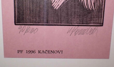 PTÁCI U DVEŘÍ - KOMÁREK VLADIMÍR