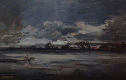 U MÁCHOVA JEZERA - KOTÍK PRAVOSLAV U MÁCHOVA JEZERA - KOTÍK PRAVOSLAV