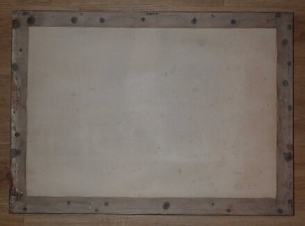 U MÁCHOVA JEZERA - KOTÍK PRAVOSLAV U MÁCHOVA JEZERA - KOTÍK PRAVOSLAV