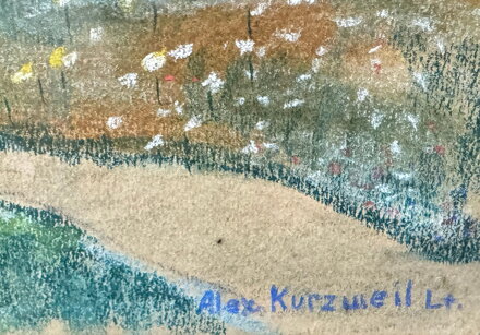 NA VSI - KURZWEIL ALEX
