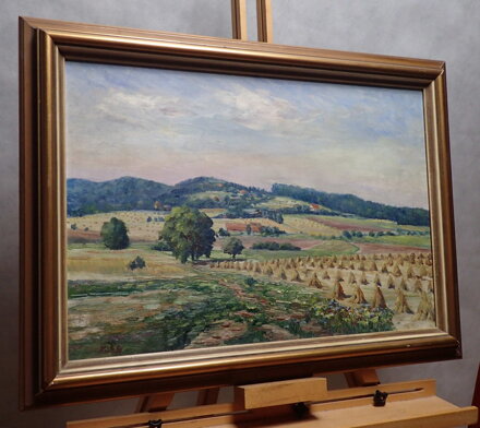 SNOPY V KRAJINĚ - KŮTEK VRATISLAV