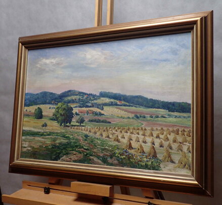 SNOPY V KRAJINĚ - KŮTEK VRATISLAV