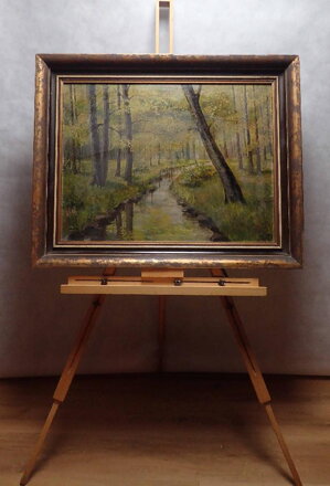 LESNÍ POTOK - SIGNOVÁN