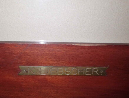 LESNÍ POTOK - LIEBSCHER KAREL