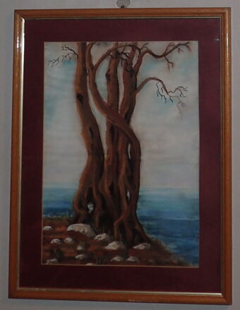 MASLINA - OLIVA - SIGNOVÁN