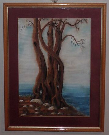 MASLINA - OLIVA - SIGNOVÁN
