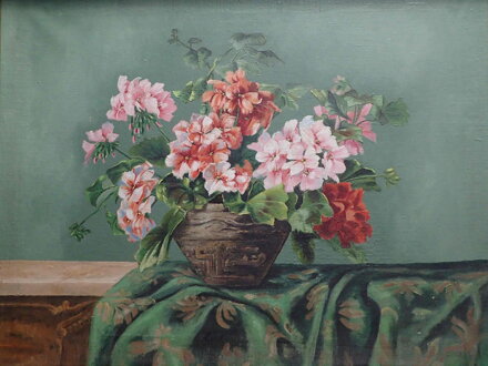 BAREVNÉ MUŠKÁTY - MAYER