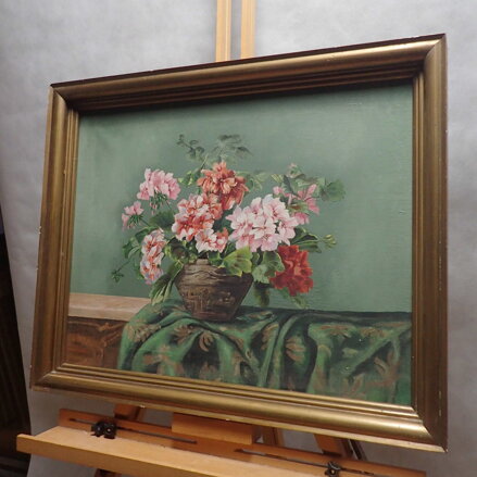 BAREVNÉ MUŠKÁTY - MAYER