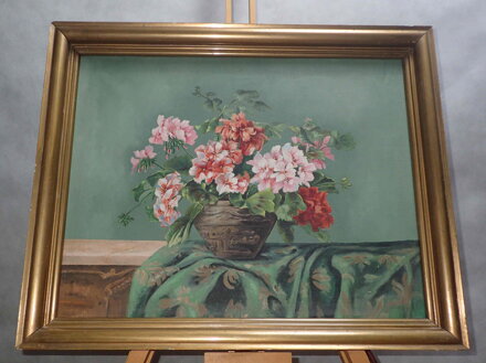 BAREVNÉ MUŠKÁTY - MAYER