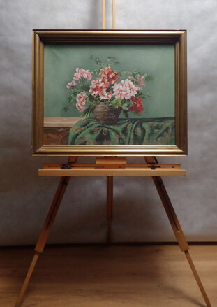 BAREVNÉ MUŠKÁTY - MAYER