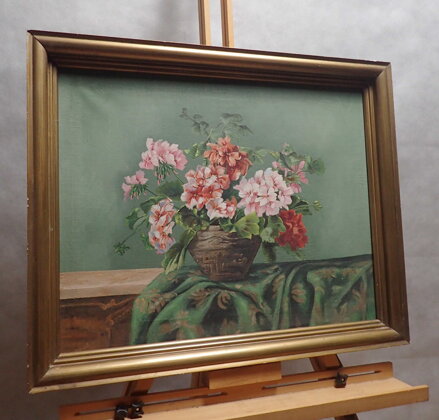 BAREVNÉ MUŠKÁTY - MAYER