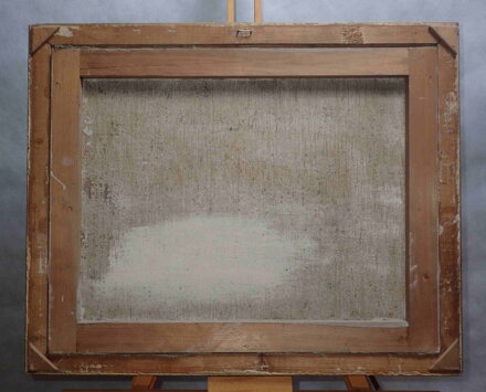 BAREVNÉ MUŠKÁTY - MAYER